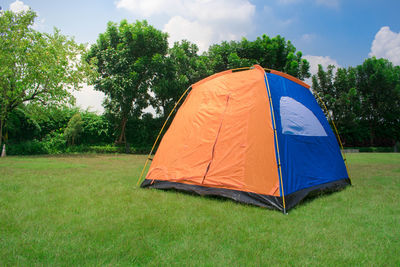 Family camping tent without rain fly setup on green park campsite