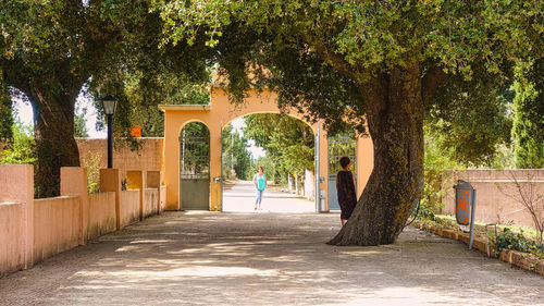 Footpath amidst trees and plants in park