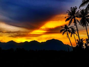 Scenic view of silhouette trees against sky at sunset