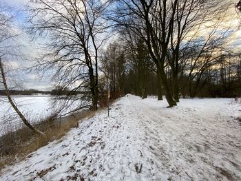 Bare trees on snow covered land against sky