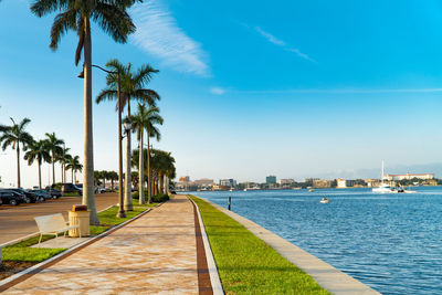 Palm trees by sea against sky in city