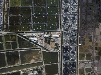 Aerial view of shrimp farm