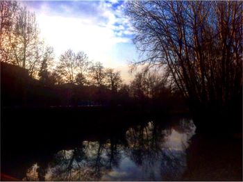 Reflection of trees in lake