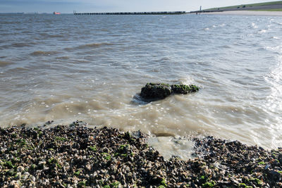 High angle view of rocks in sea