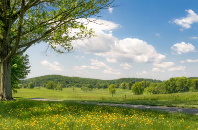 Scenic view of land against sky