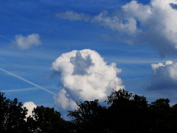 Low angle view of trees against blue sky