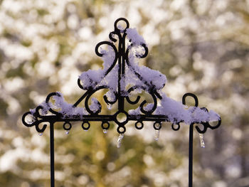 Close-up of snow on metal