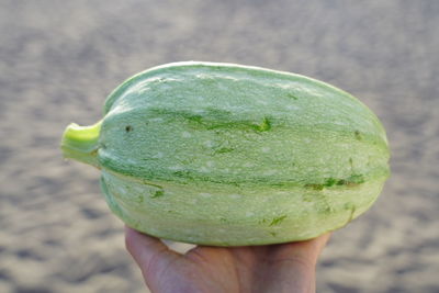 Close-up of hand holding fruit