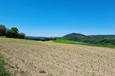 Scenic view of field against clear blue sky