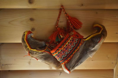 Close-up of bird on wood