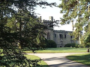 Trees by building against sky