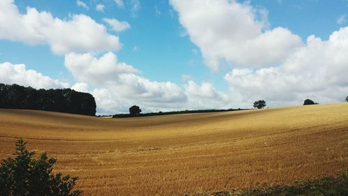 Scenic view of agricultural field against sky