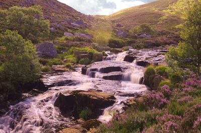 River flowing through rocks in forest