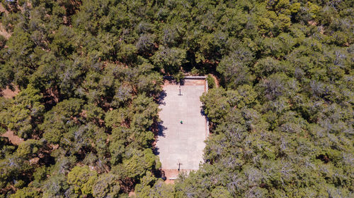 High angle view of trees on field