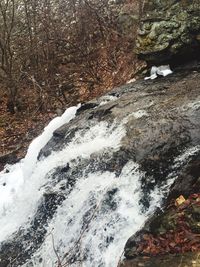 River flowing through rocks in forest