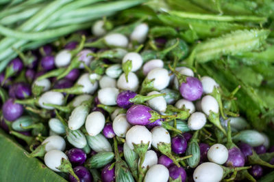 Full frame shot of purple salad