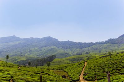 Scenic view of rural landscape