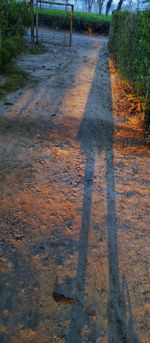 Shadow of man on puddle