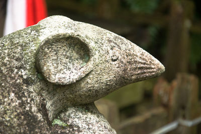 Close-up of statue in cemetery
