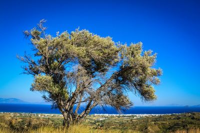 Scenic view of landscape against clear blue sky