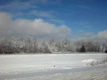 Scenic view of trees against sky