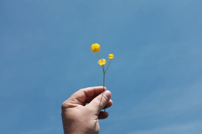 Close-up of hand holding yellow balloons against blue sky
