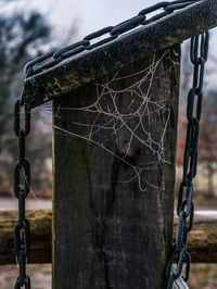 Close-up of rusty chain hanging on fence