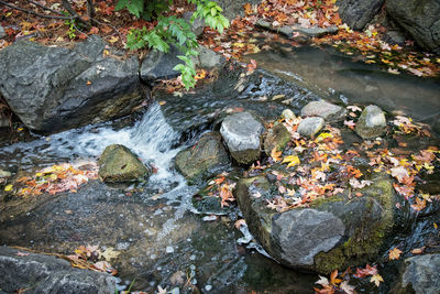 High angle view of stream amidst rocks in forest