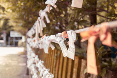 Papers hanging on ropes against trees
