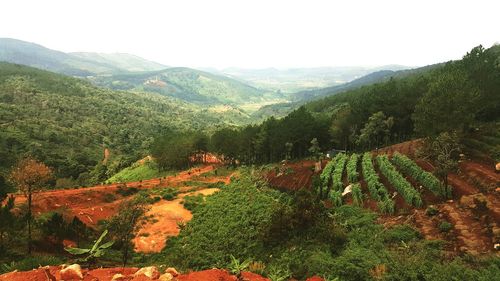 Scenic view of mountains