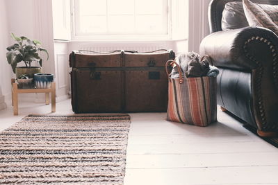 Close-up of sofa by bag and rug on floor