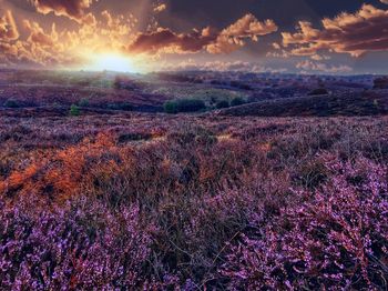 Scenic view of landscape against sky during sunset