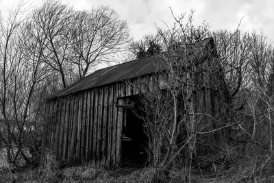 Bare tree in front of abandoned building