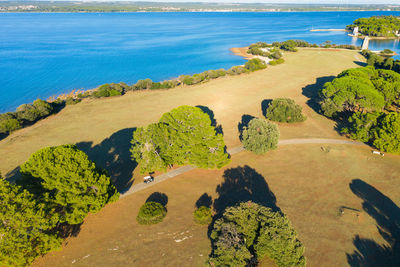 Aerial view of the meadows and forest in a golf course on brijuni national park, croatia