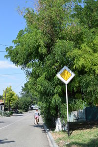 People walking on road