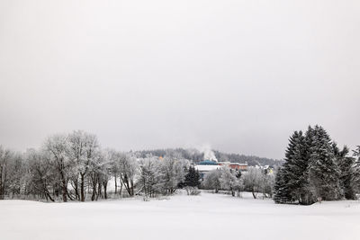 Trees on snow covered field against sky