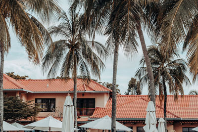 Low angle view of palm trees and houses against sky