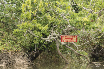 Information sign on tree in forest