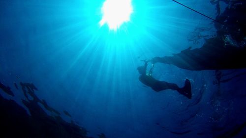 Low angle view of silhouette man swimming in sea