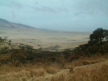 Scenic view of sand dunes against sky