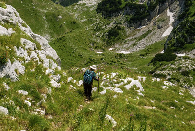 Man standing by plants on mountain