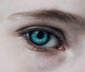 Close-up portrait of human eye