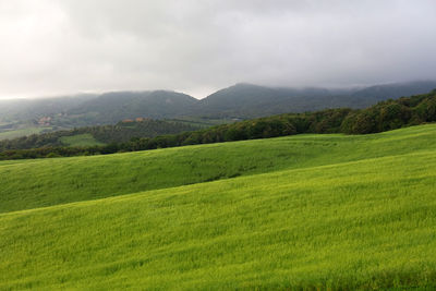 Scenic view of green landscape and mountains against sky
