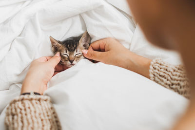 Cropped hands of woman touching kitten sleeping on bed at home