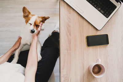 Young woman working at home, holding a cup of coffee. cute small dog lying on the floor