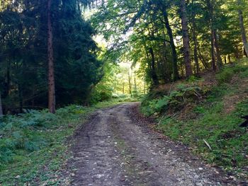 the way forward