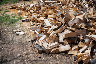 Stack of logs on field in forest