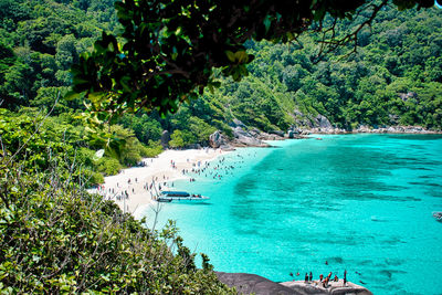 High angle view of sea and trees