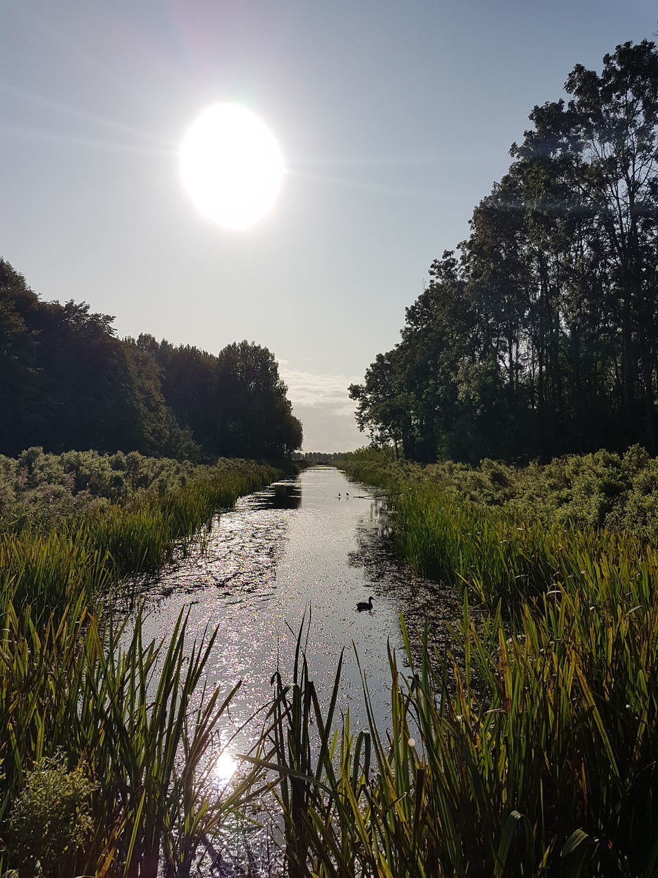 SCENIC VIEW OF RIVER AGAINST BRIGHT SUN