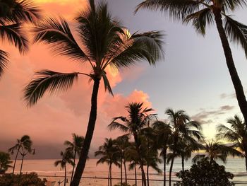 Silhouette palm trees against sky during sunset